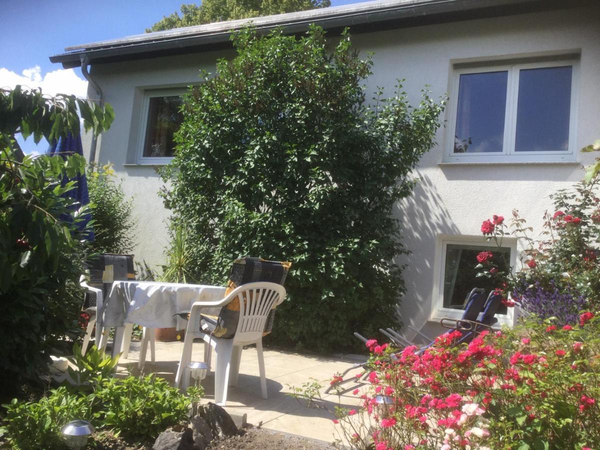 Ferienhaus Moock Horn-Bad Meinberg Bagian luar foto