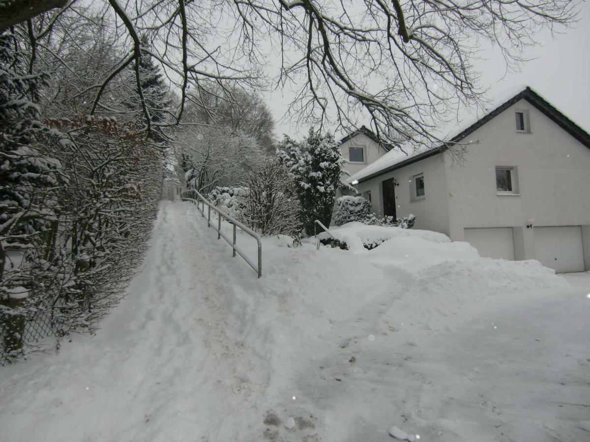 Ferienhaus Moock Horn-Bad Meinberg Bagian luar foto